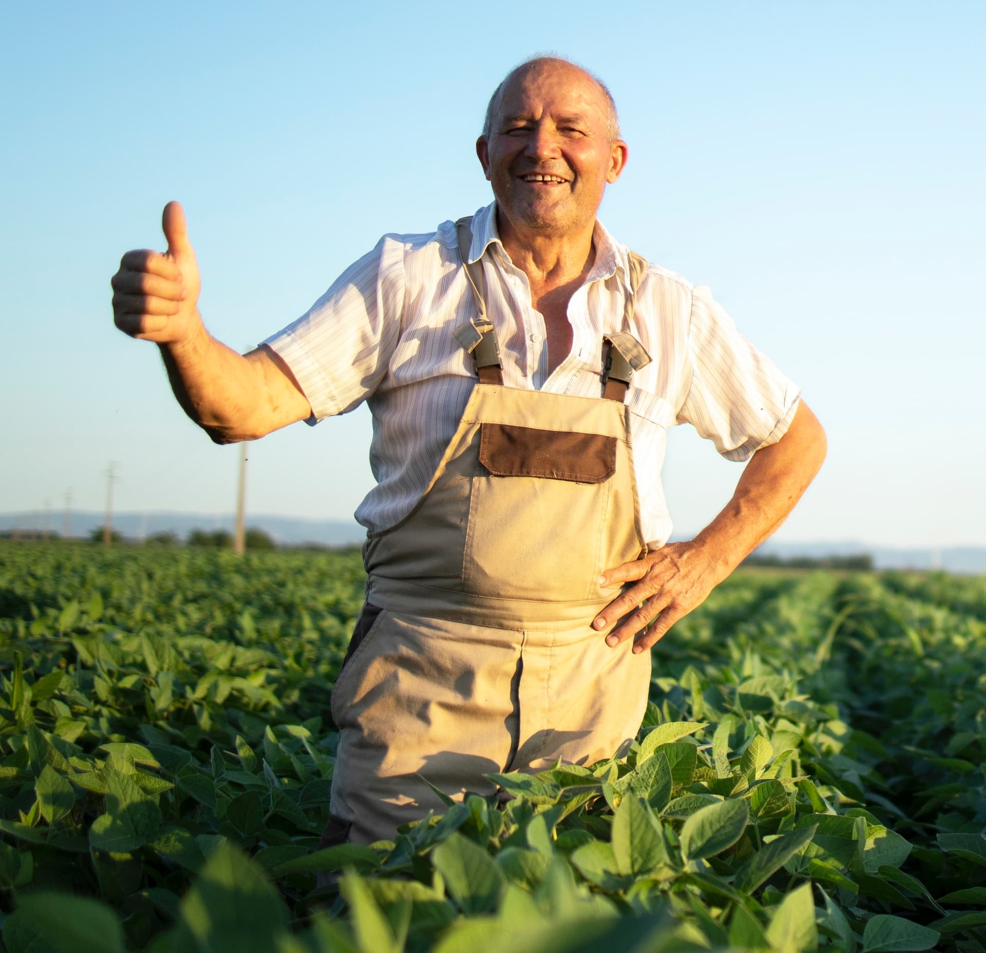 Seu João e os filhos